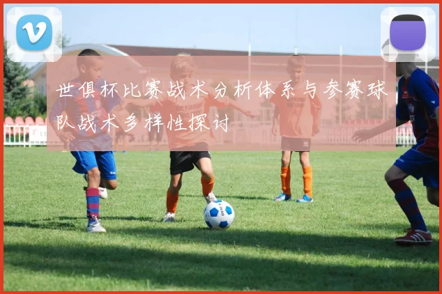 世俱杯比赛战术分析体系与参赛球队战术多样性探讨