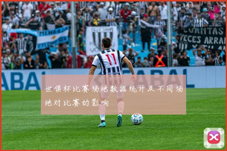 世俱杯比赛场地数据统计及不同场地对比赛的影响