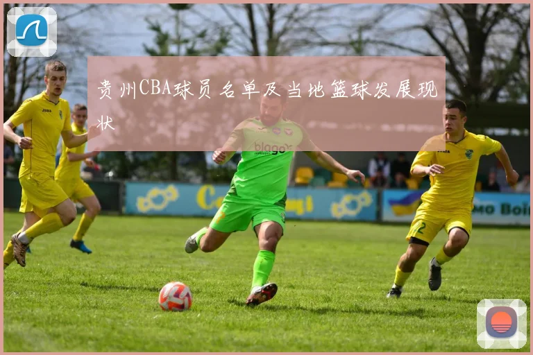 贵州CBA球员名单及当地篮球发展现状
