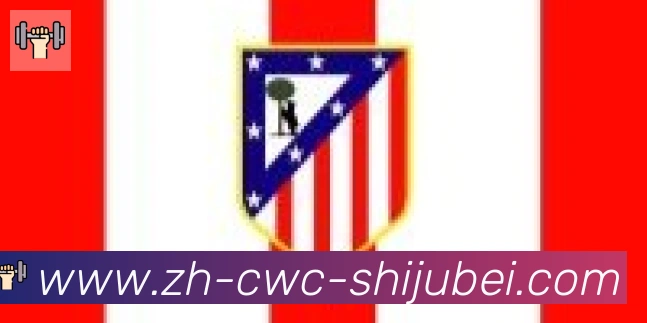 世界杯买球合作伙伴